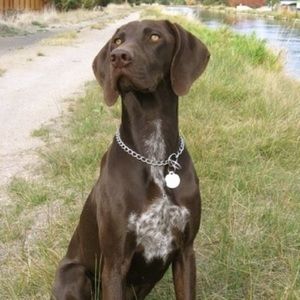 Meet your Posher, Vincent